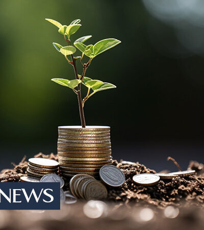 Court Invalidates Provisions Pertaining to CSR Funds Allocation in Tanzania